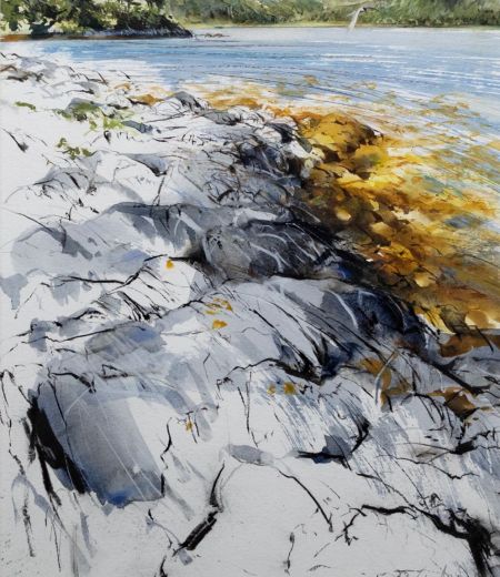 tern over loch sunart by lucy newton
