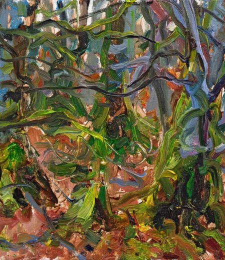 beech woods, april by jonathan shearer