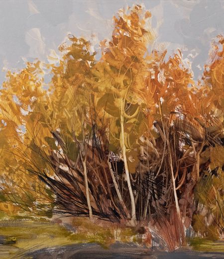 birch on scrubland (selkirk) by anna king