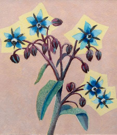 borage for courage by kirsty lorenz