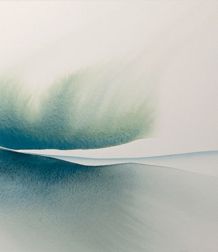 conversing with the wild I by stephen redpath