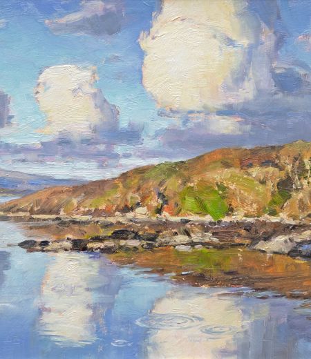 glenborrodale shoreline by david deamer