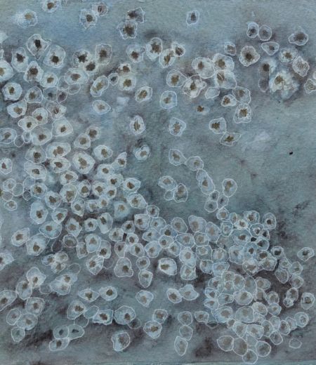 littoral community I by jane rushton