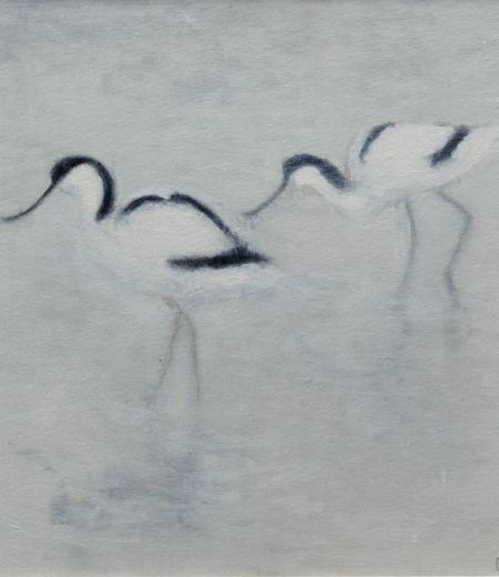 avocets, deepdale by ruth o dell