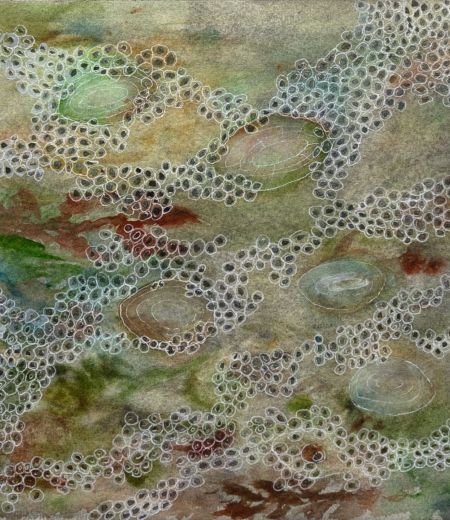 littoral community II by jane rushton