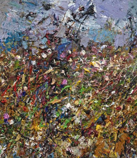 wild flower hedgerow by jonathan shearer