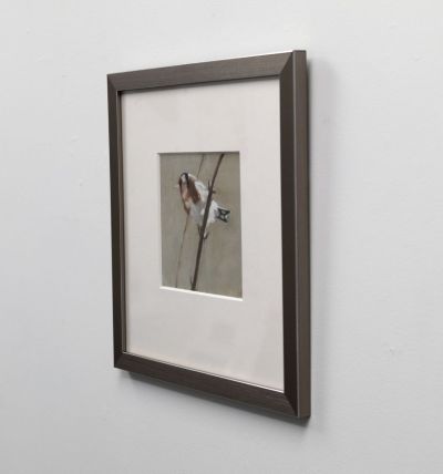 goldfinch by ruth o'dell