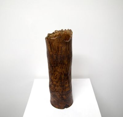 oak burr from morvern by john hodgson