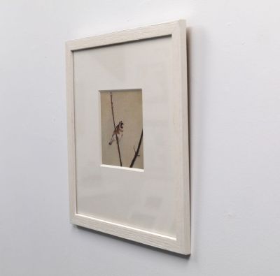 goldfinch III by ruth o'dell