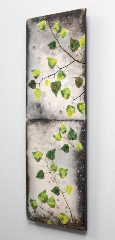 spring green birch | helen michie