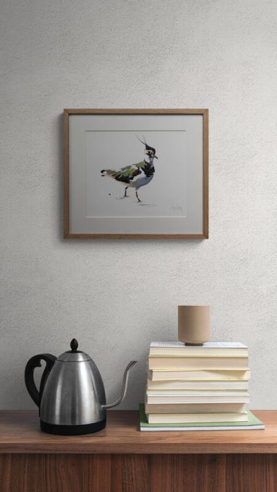 lapwing by lucy newton