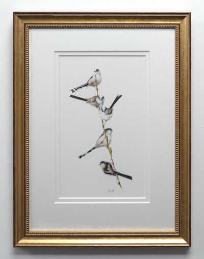 long-tailed tits on willow by colin woolf