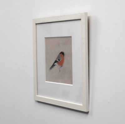 bullfinch by ruth o'dell