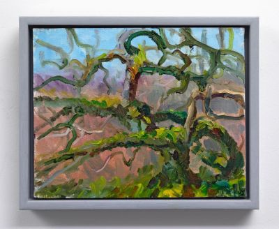 ancient oak, achilty by jonathan shearer