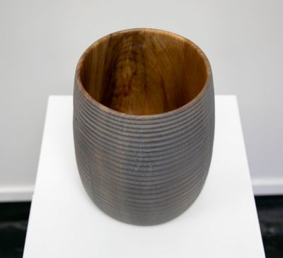 Wych Elm from Fuinary, Morvern | John Hodgson