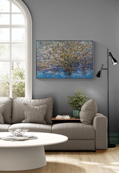 sun and snowy sycamore by jonathan shearer