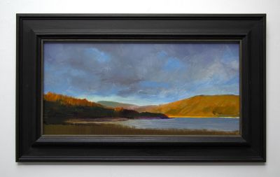 illuminated laudale by andrew sinclair