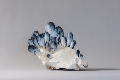 we all cling to the same rock by lucy gray