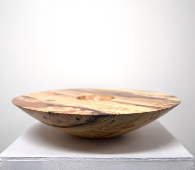 beech from kinlochleven by john hodgson