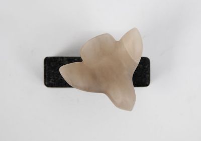 touch down by siobhan morison