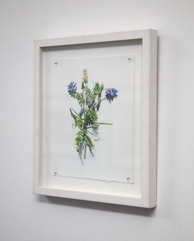 votive offering no.44, purple vetch by kirsty lorenz