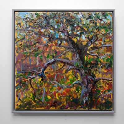autumn atlantic oak by jonathan shearer