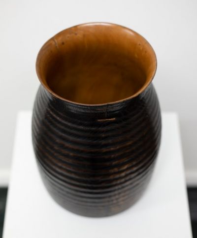 421 Wych Elm | John Hodgson