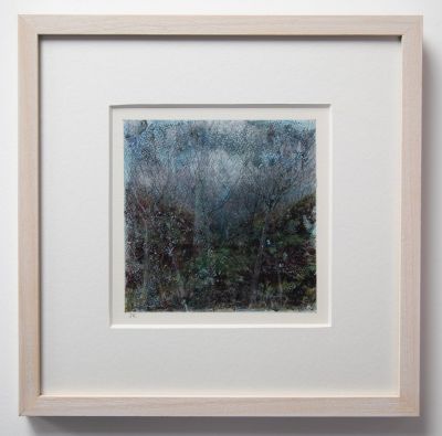 down the ravine by jane rushton