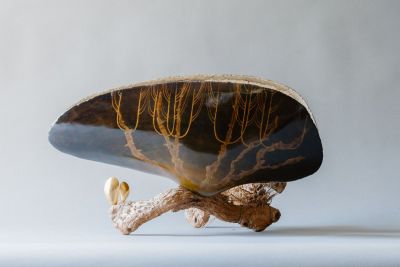 micro macro by lucy gray