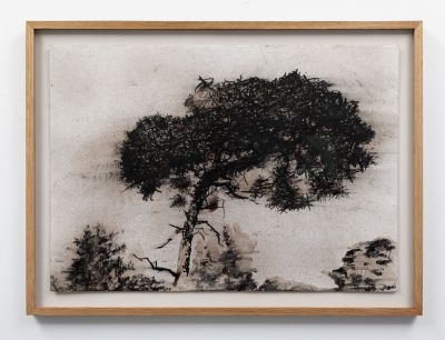 sentinel pine, bridlebank by kevin dagg