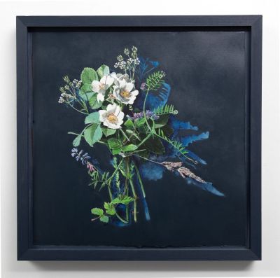votive offering no.142, white field rose by kirsty lorenz