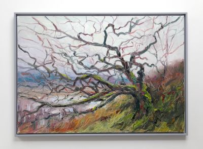 atlantic oak loch arienas by jonathan shearer