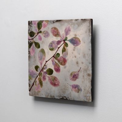 summer pink berberis ii by helen michie