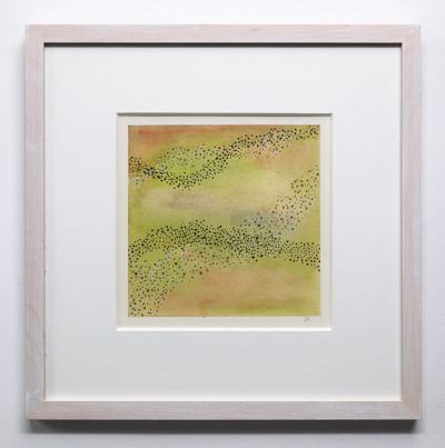 littoral drift by jane rushton