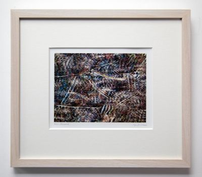 fern rainach by rhea banker