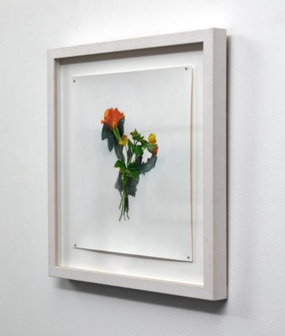 votive offering no.40, monkey flower by kirsty lorenz