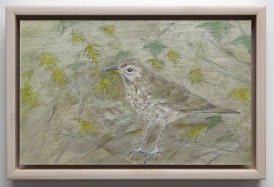 song thrush by Joyce gunn cairns
