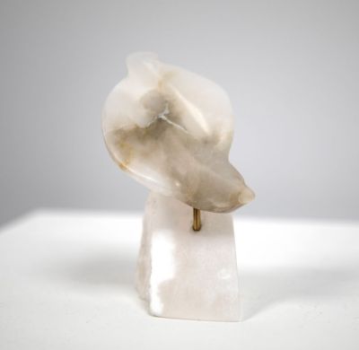 ice dive by siobhan morison