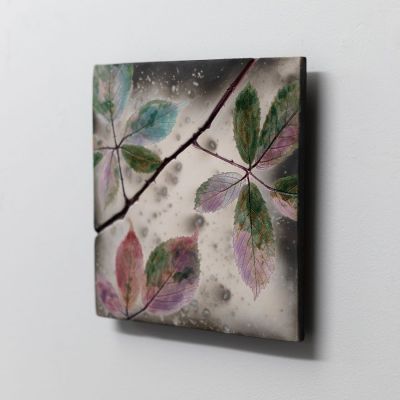 bramble colours by helen michie