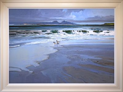 shelducks, portuairk by Alan B Hayman