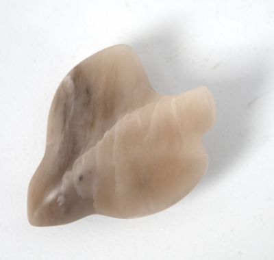 a bird in the hand by siobhan morison