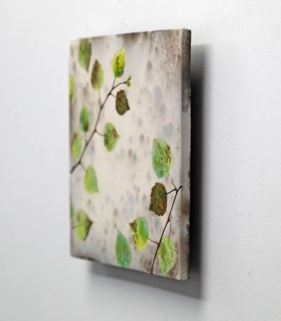 spring birch greens by helen michie