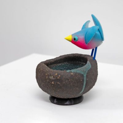 blue bird on black nest with open wings by Chris Barnes