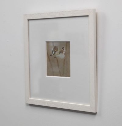 goldfinches II: march by ruth o'dell