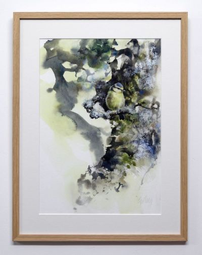 fledgling blue tit, ancient woodland by lucy newton