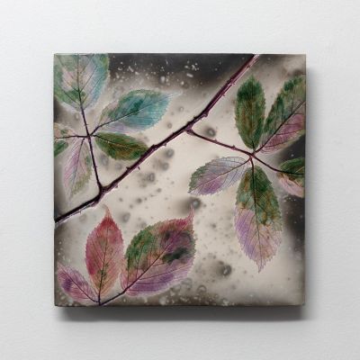 bramble colours by helen michie