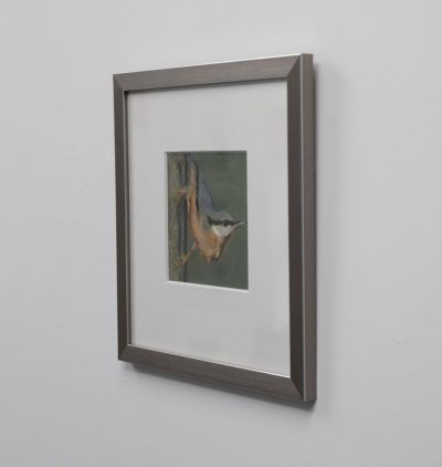 nuthatch by ruth o'dell