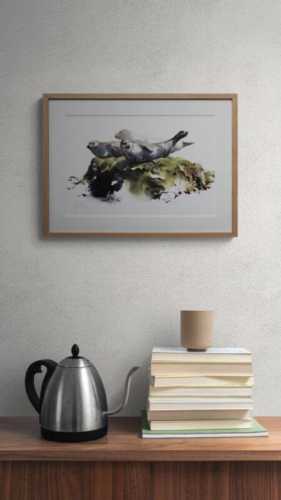resting seals by lucy newton