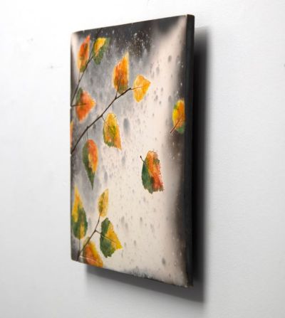 birch in autumn by helen michie