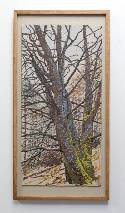 mother rowan, alladale by kevin dagg